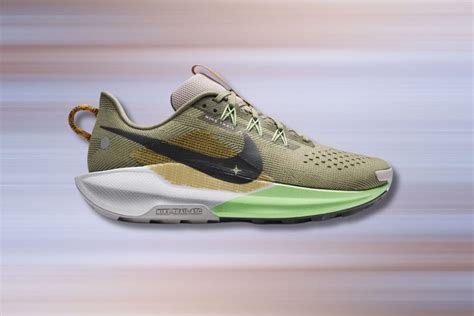 Nike Pegasus trail 5